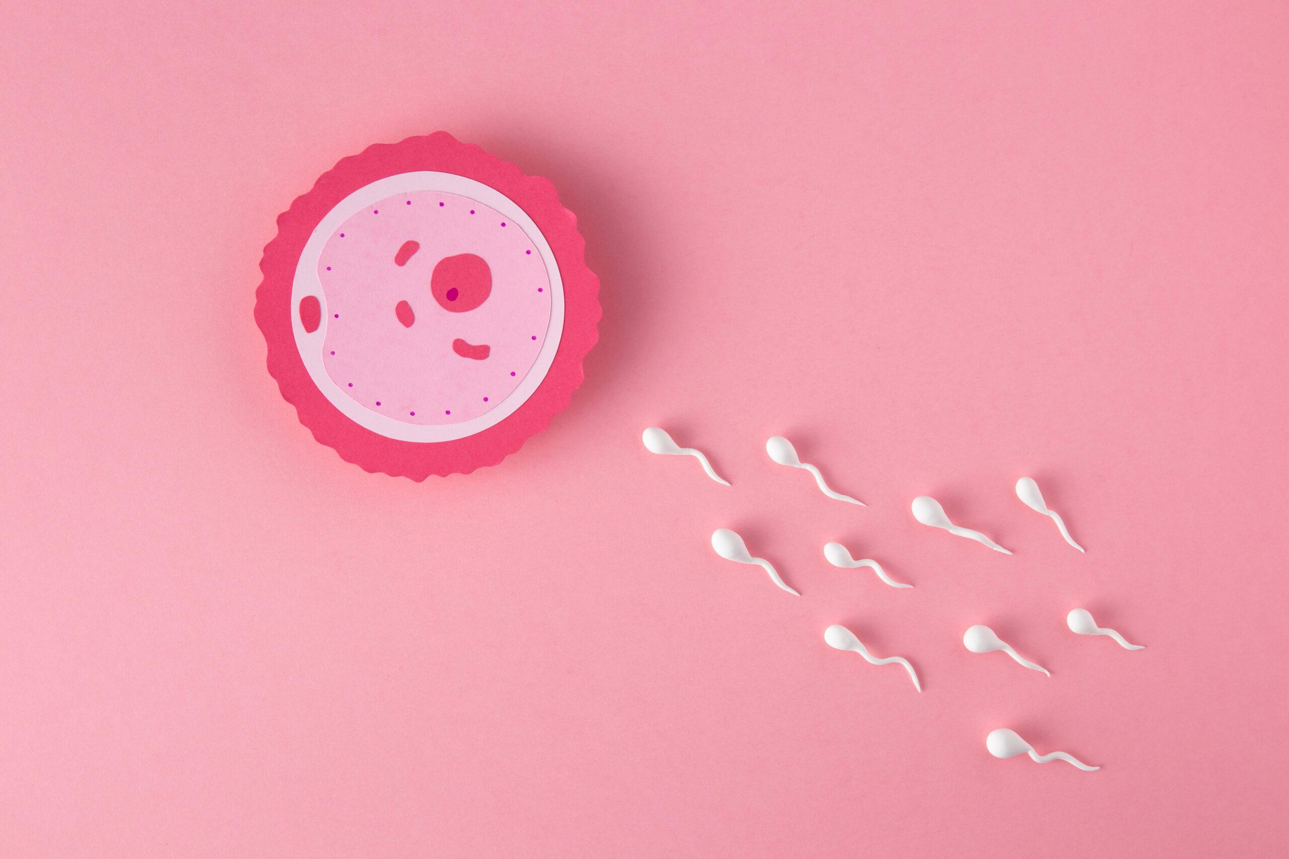 Physical and Psychological Preparation for an IVF Cycle