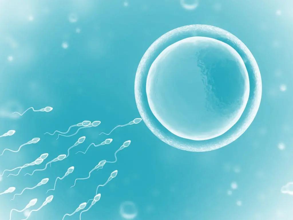 Intravaginal Insemination (IVI)