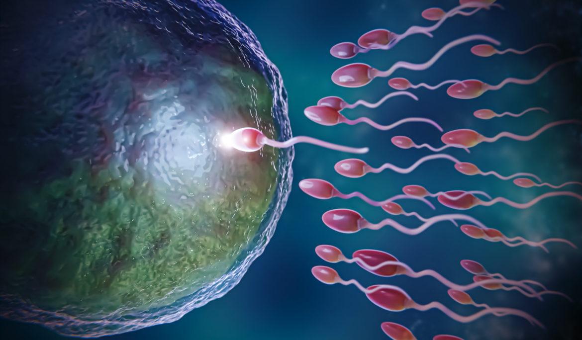 Intracervical Insemination (ICI)