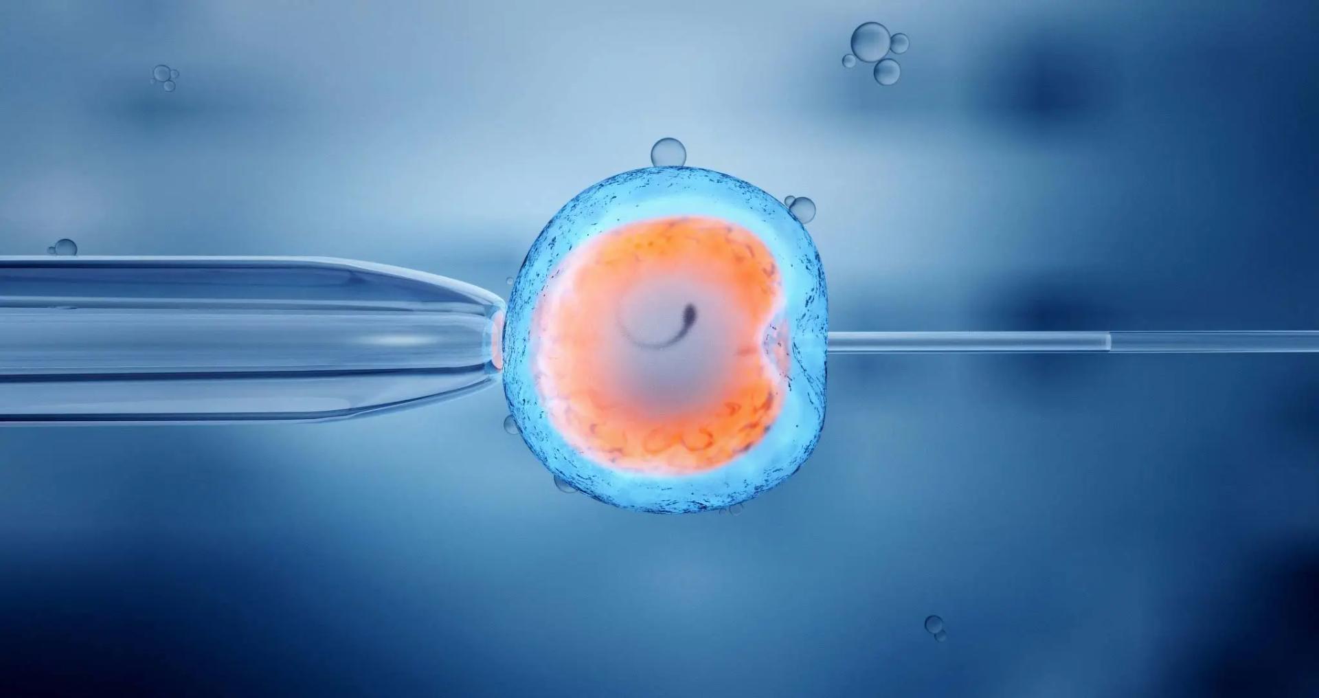 In Vitro Fertilization After Age 40: Challenges and Opportunities