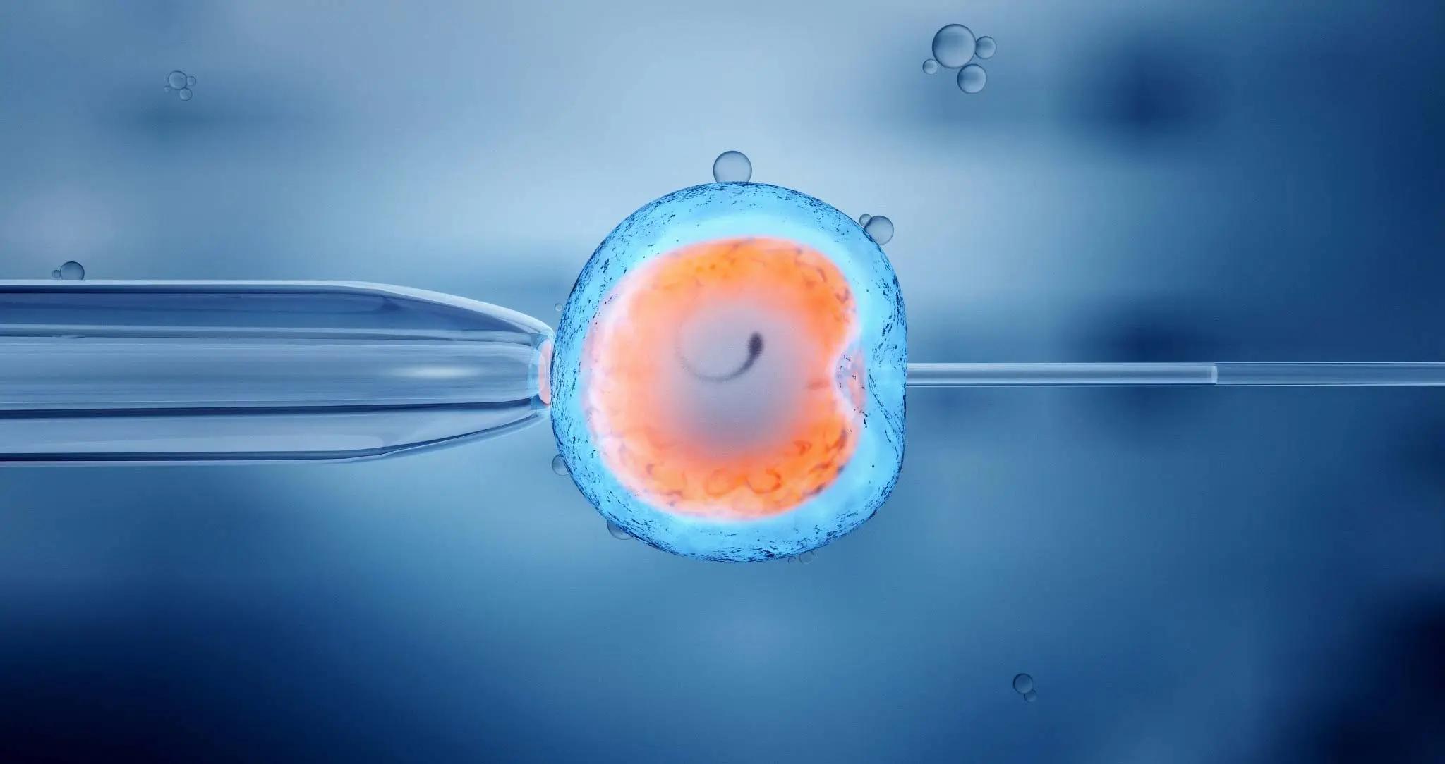 In Vitro Fertilization After Age 40: Challenges and Opportunities