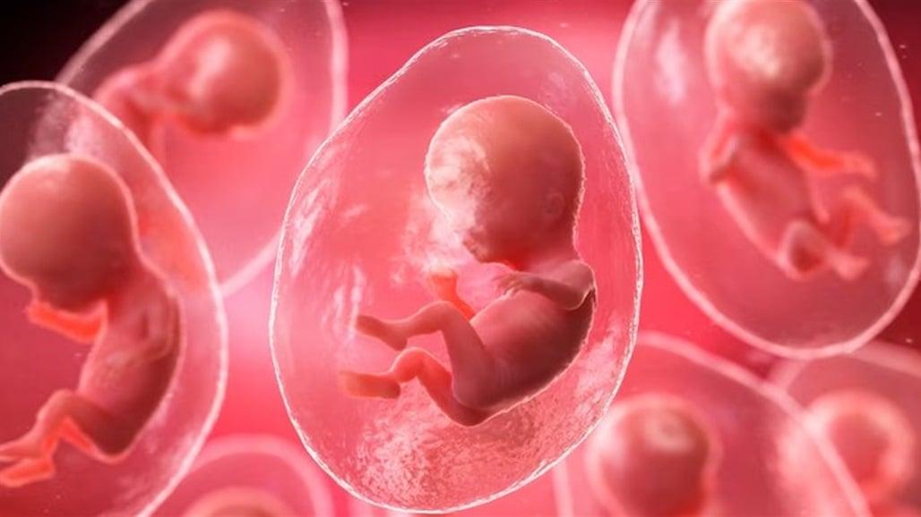 How Has Artificial Intelligence Changed Embryo Assessment?