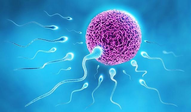 الأسباب الشائعة لاختيار التلقيح داخل الرحم لعلاج العقم