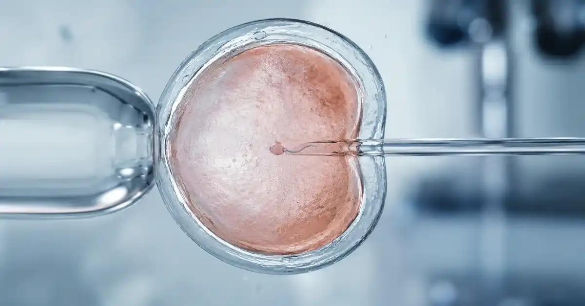 Tek Yumurta ile Mikroenjeksiyon Yapılabilir mi?