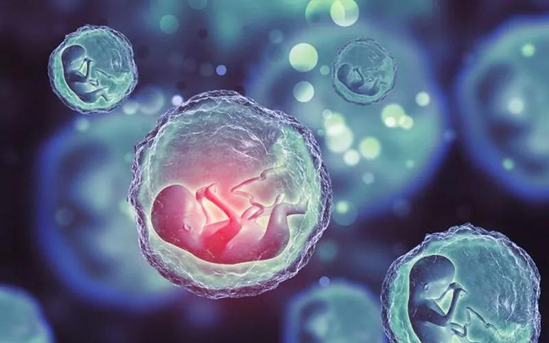 أطفال الأنابيب  (IVF) 