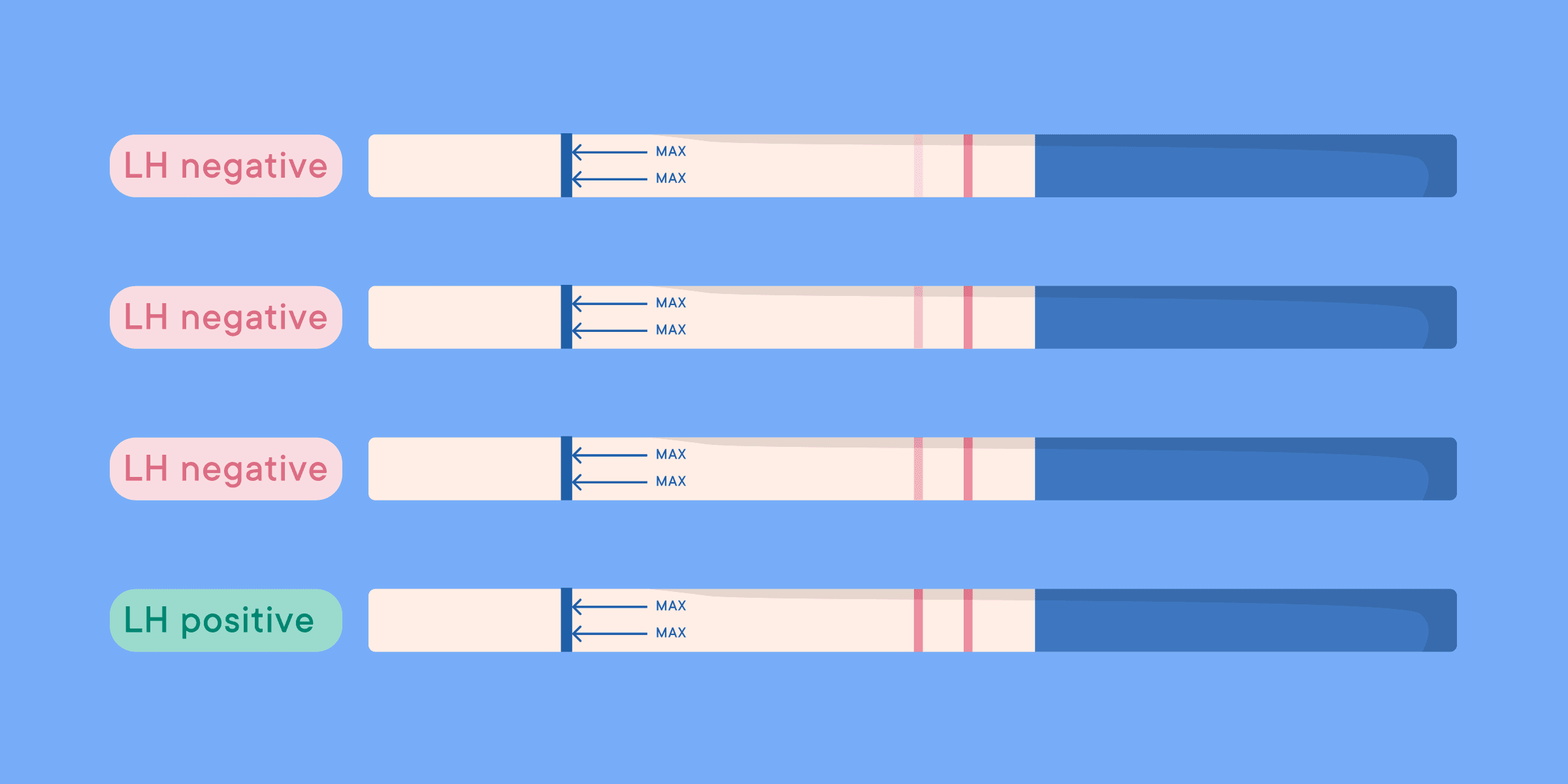 What is an Ovulation Predictor Kit (OPK) Test?