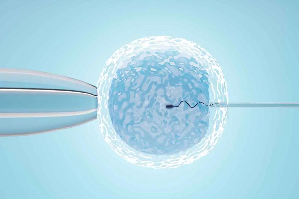 Intracytoplasmic Sperm Injection (ICSI)