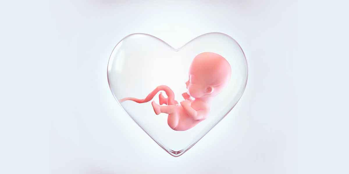 The Journey to Parenthood: What to Expect at Every Step