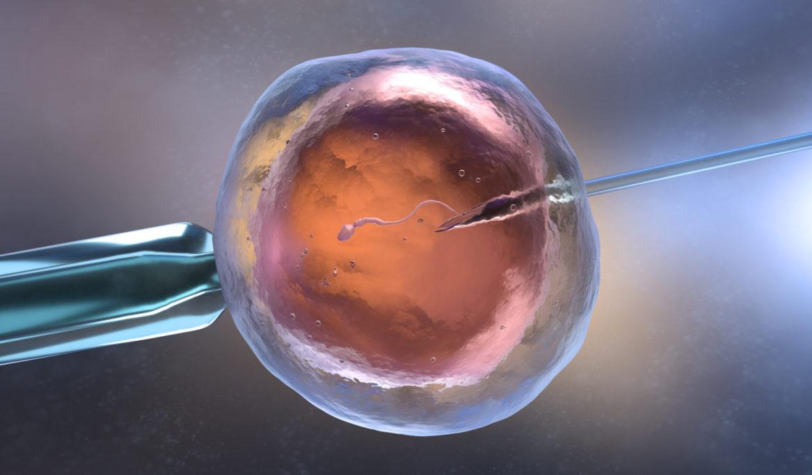 Factors Affecting the Success of Artificial Insemination