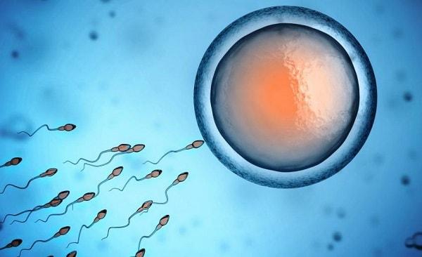 Recent Techniques and Developments in Intrauterine Inseminati