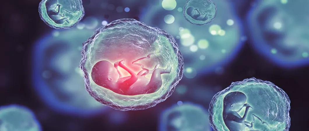 Follow-up Care After IVF