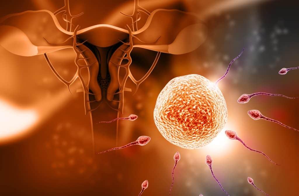 What are the necessary tests to determine the cause of infertility?