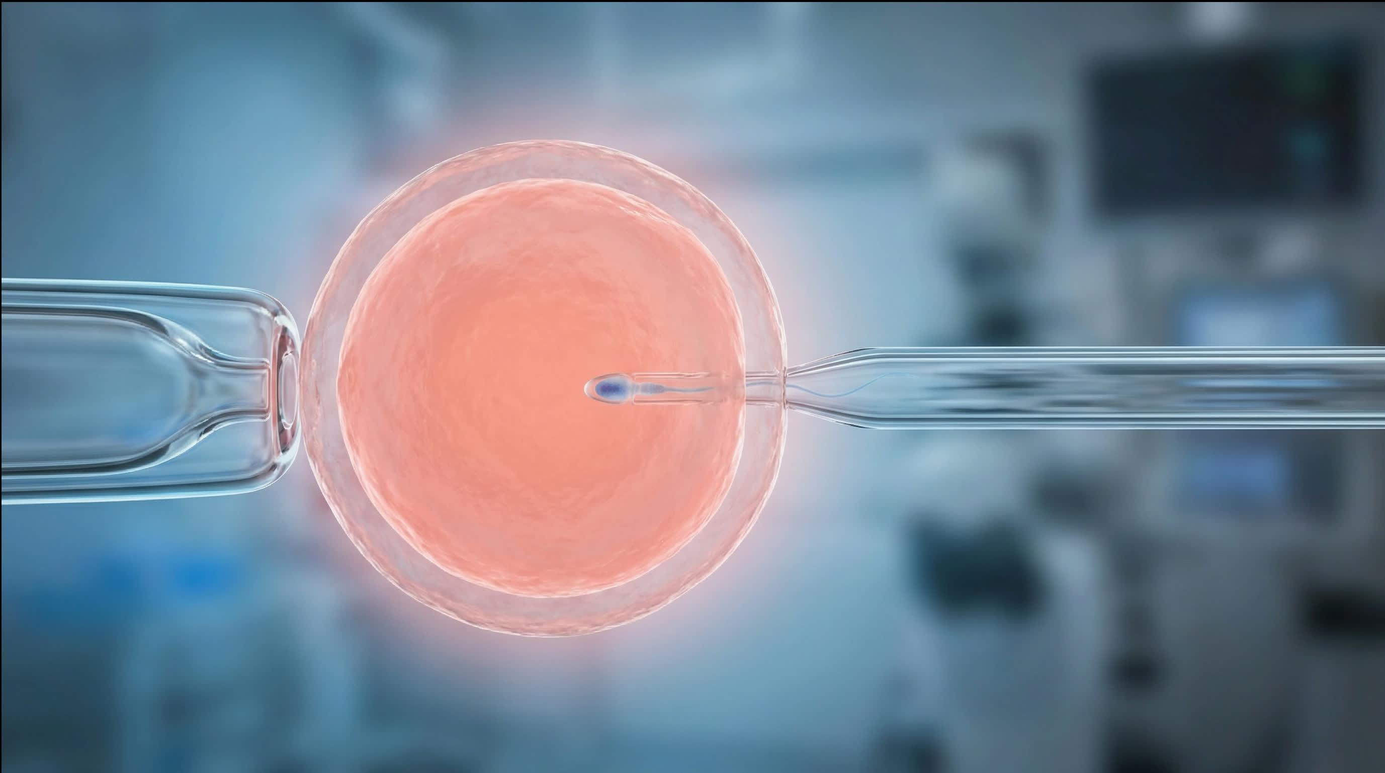 What Happens Inside the Laboratory During ICSI Technique: Detailed Explanation