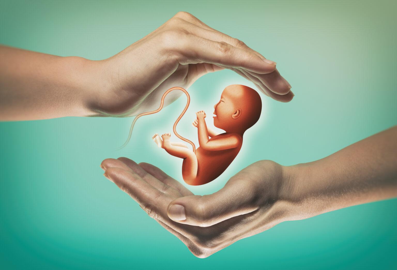 Tips to Increase the Success Rate of IUI