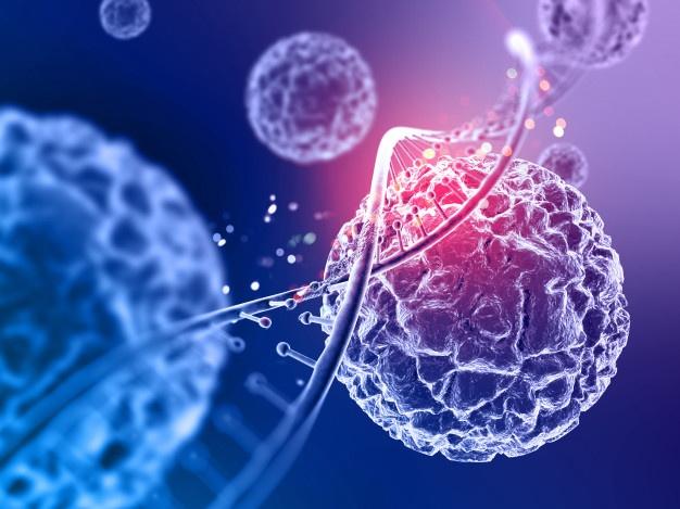What is the HLA Compatibility Test for Couples with Recurrent Miscarriages?