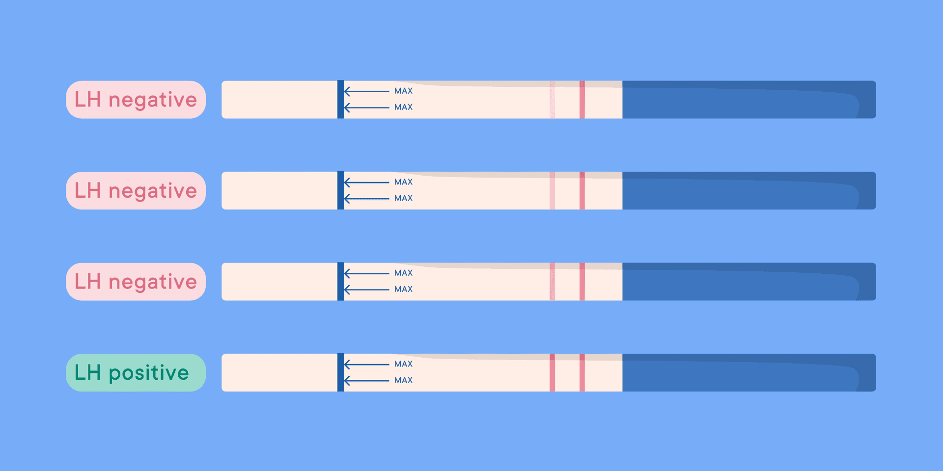 Yumurtlama Tahmin Kiti (OPK) Testi Nedir?