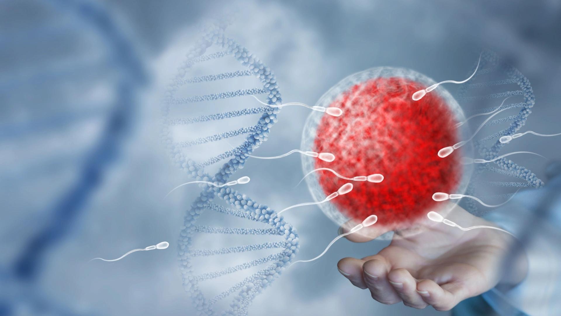 Intrauterine Insemination: Benefits and Potential Risks